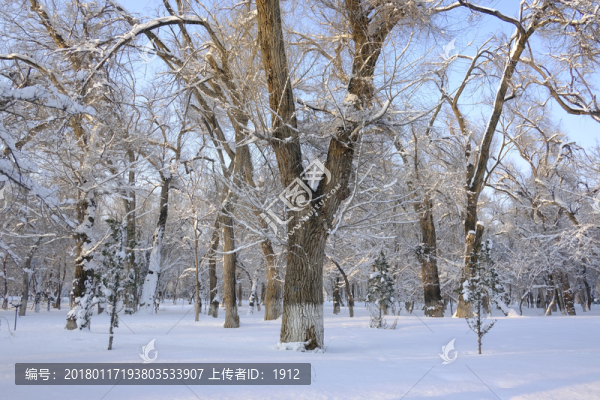 雪景