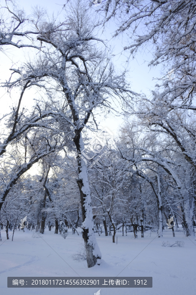 雪景