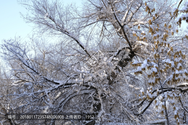 雪景