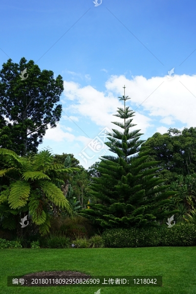 植物園