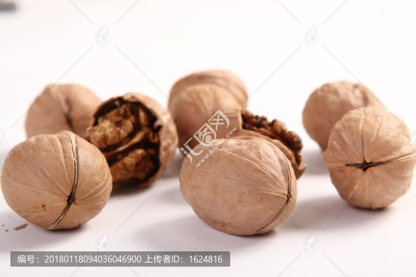 核桃