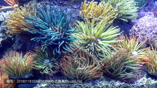 海底世界