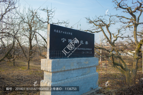 萬畝梨園