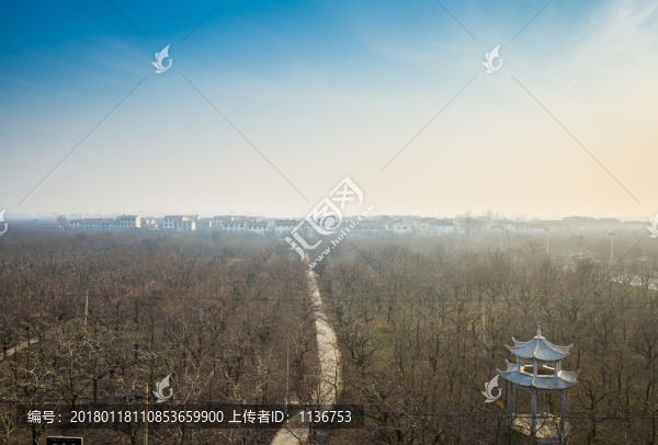 萬(wàn)畝梨園