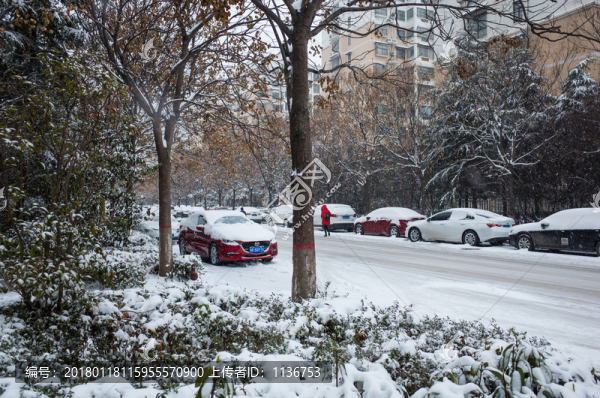 大雪城市街道