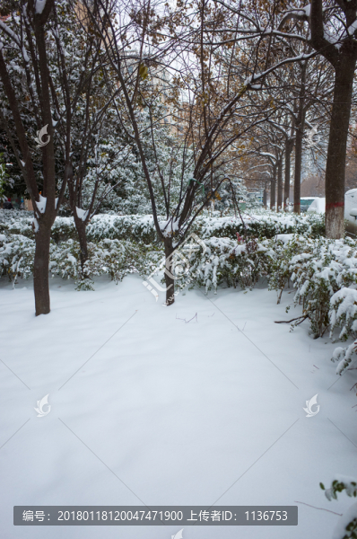 積雪的街道