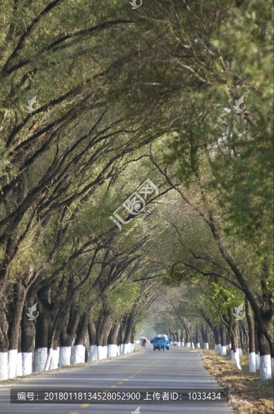 鄉(xiāng)間道路