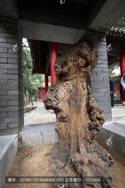 孔林