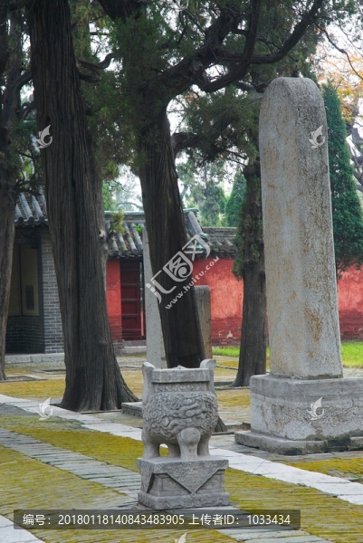 孔林