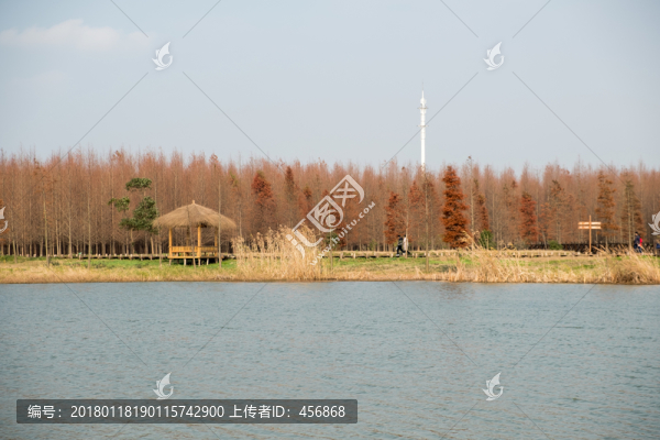 濕地公園秋天