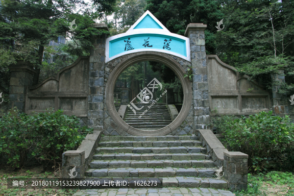 蘆花蕩