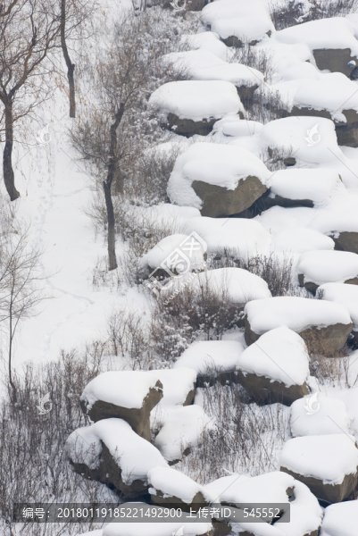 雪景