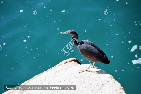 廣東珠海