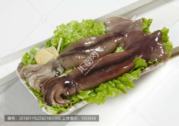 墨魚