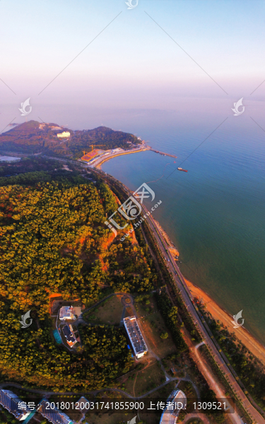 淇澳島