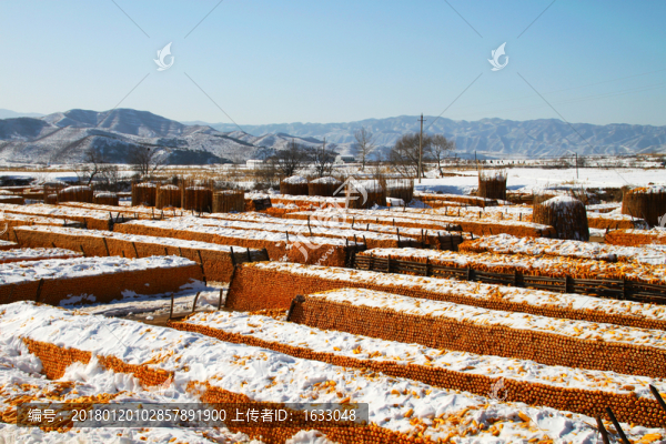 瑞雪豐年