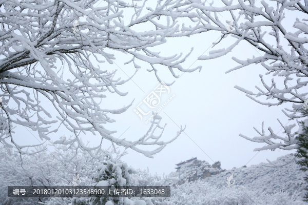 霧松,冰掛