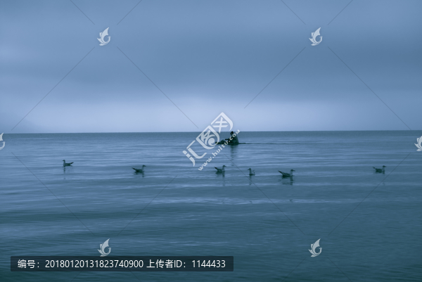 海鷗和漁夫