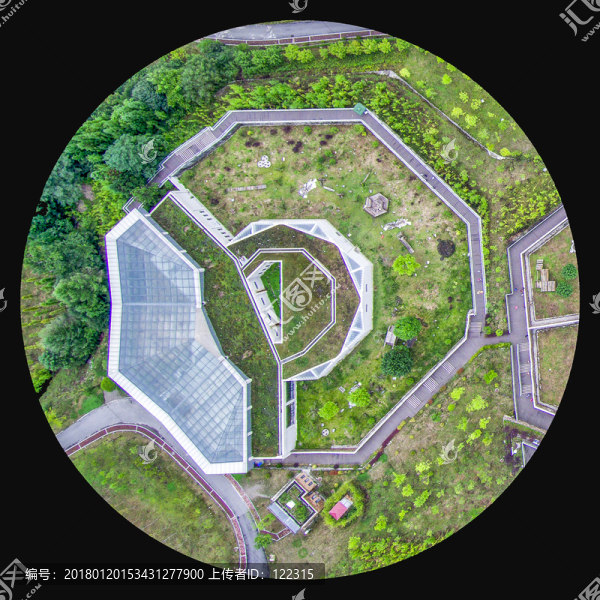 臥龍大熊貓基地