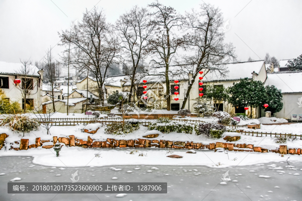 瑞雪
