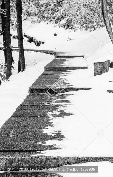 雪路