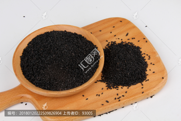 芝麻攝影高清圖
