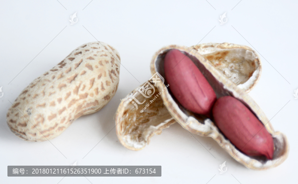 紅皮花生米