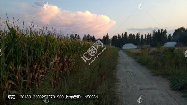 小路