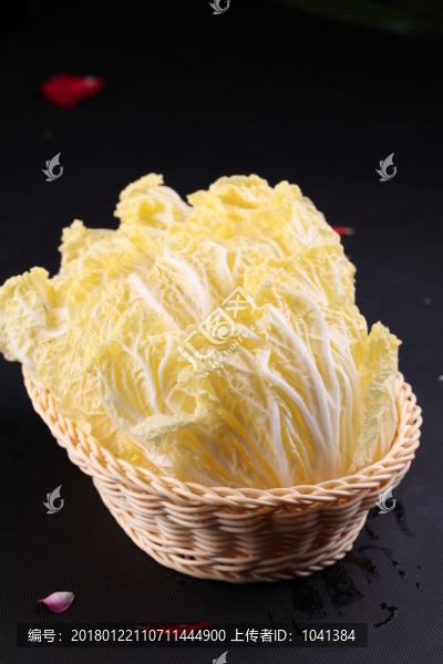 大白菜