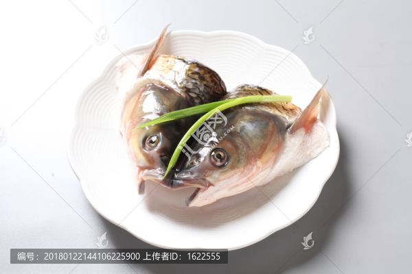 大魚頭