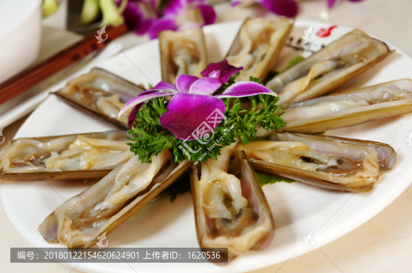 竹節(jié)螺
