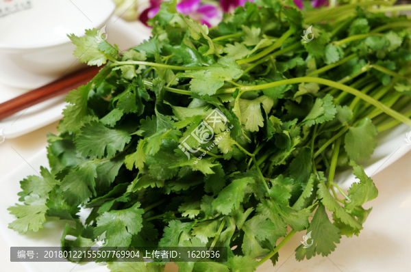 香菜