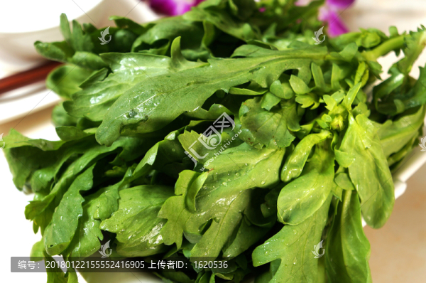 茼蒿