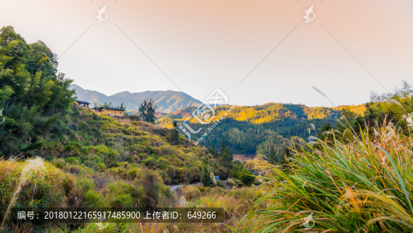 東水山村