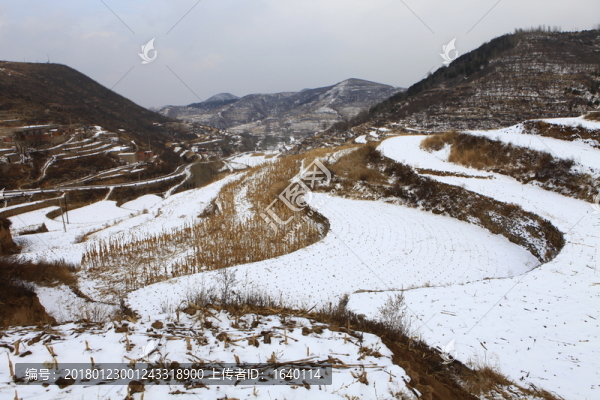雪后的田野