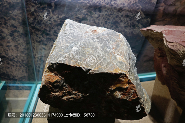 灰?guī)r