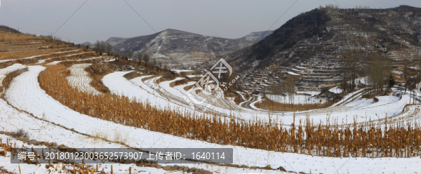 雪后的田野