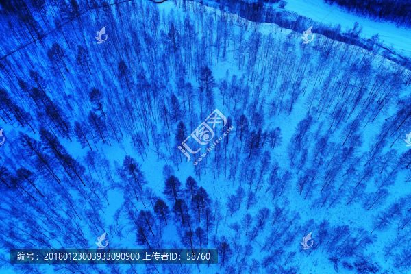 藍(lán)色樹林雪景,航拍