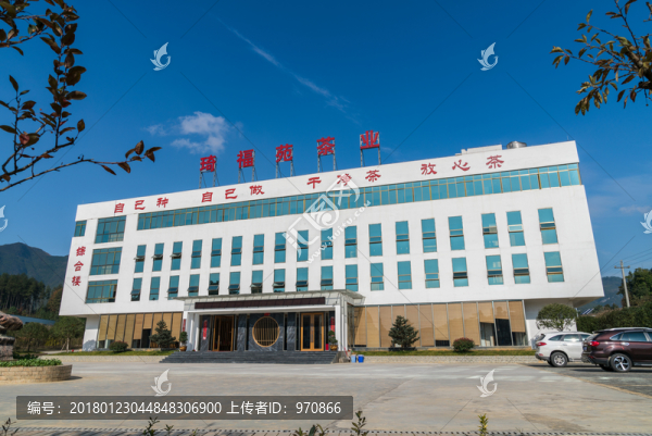 琦福苑茶業(yè)廠房廠區(qū)