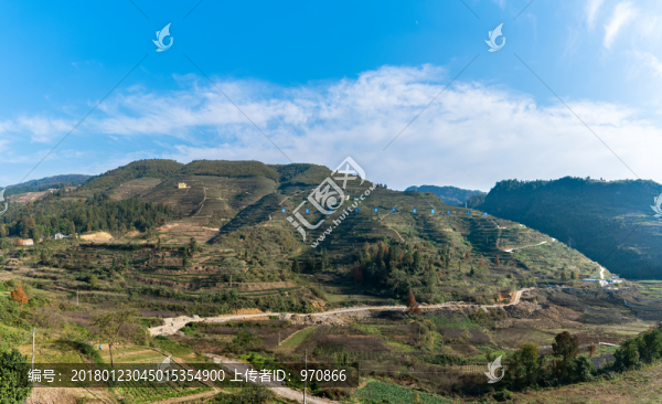 梯田茶山