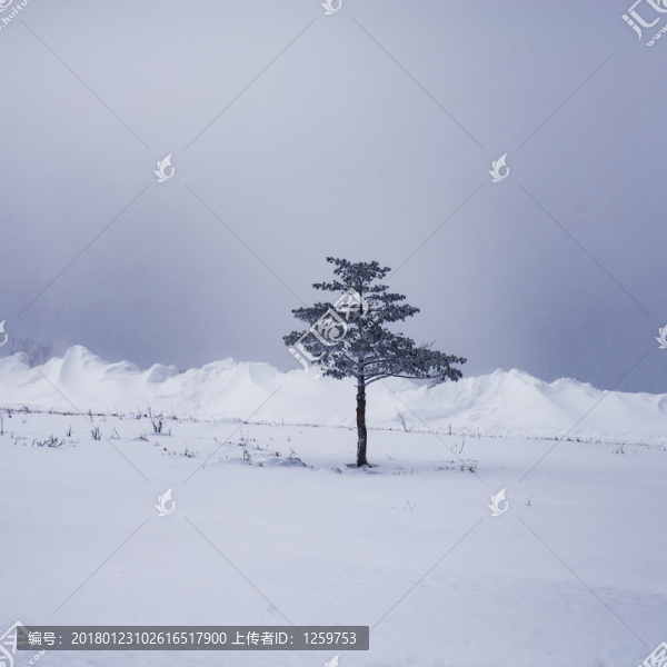 夢(mèng)幻雪鄉(xiāng)