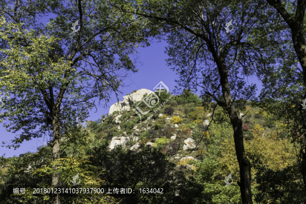 喇叭溝原始森林公園