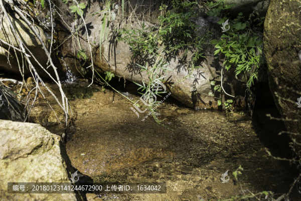 喇叭溝原始森林公園