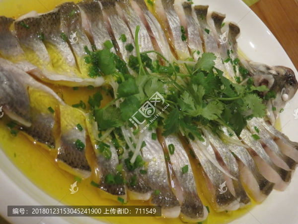 太湖白魚
