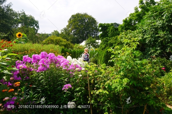 花園
