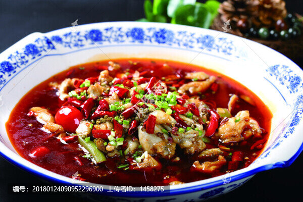 華麗牛蛙仔