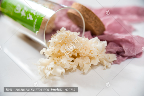 繡球菌