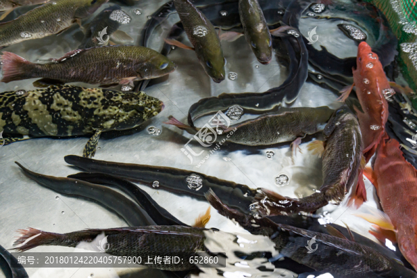 海鮮