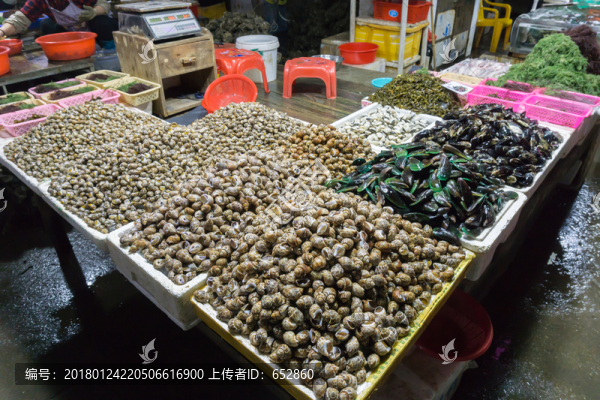 海鮮,新鮮的,市場,檔口,花螺