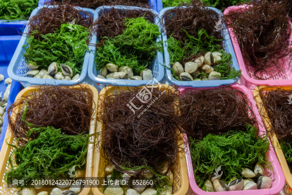 海藻,海鮮,美食,綠色食品,美